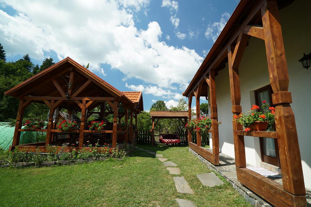 Casa Bunicii Ξενοδοχείο Moisei Εξωτερικό φωτογραφία